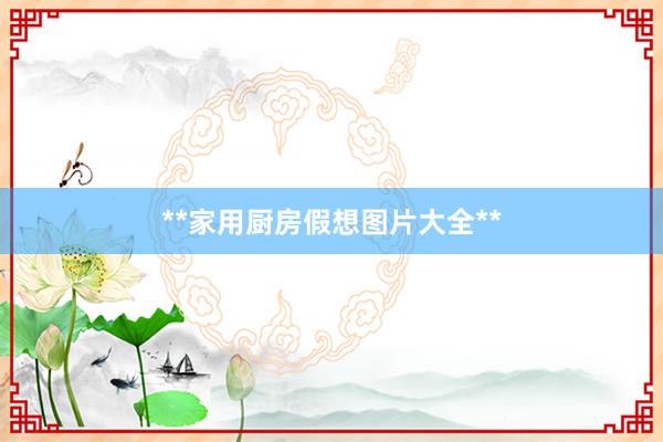 **家用厨房假想图片大全**